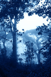 Similar image 11918847