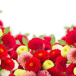 Similar image 11898278