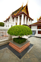 Similar image 11916680