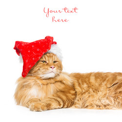 Similar image 11912674