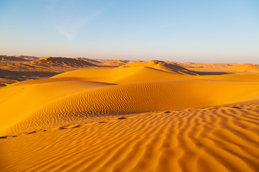 Similar image 11916692