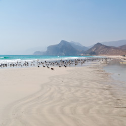 Similar image 11916694