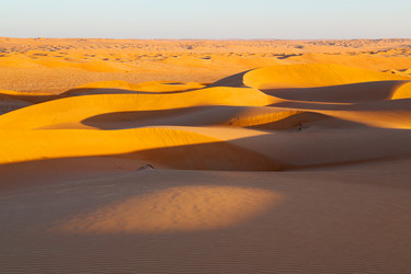 Similar image 11916682