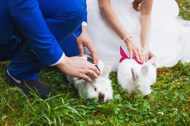 Similar image 11919599