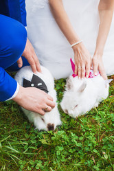 Similar image 11919600