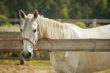 Similar image 11919608