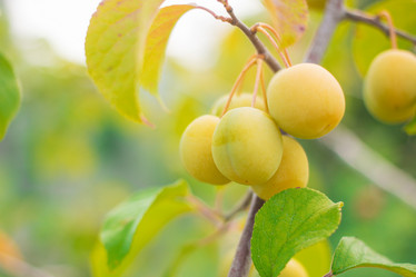 Similar image 11919751