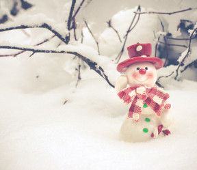 Similar image 11916932