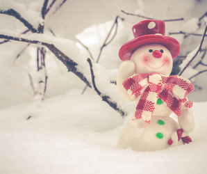 Similar image 11916935