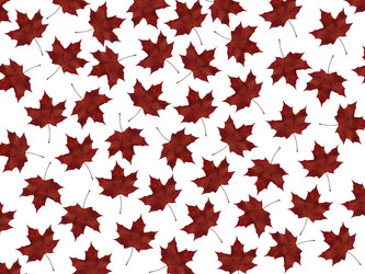 Similar image 11916746