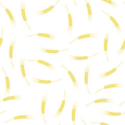 Similar image 11916628