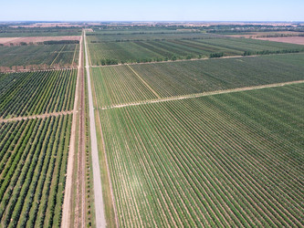 Similar image 11925040