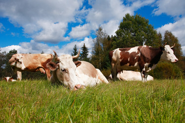 Similar image 11916902