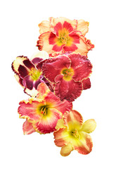 Similar image 11916904