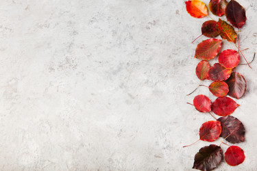 Similar image 11921751