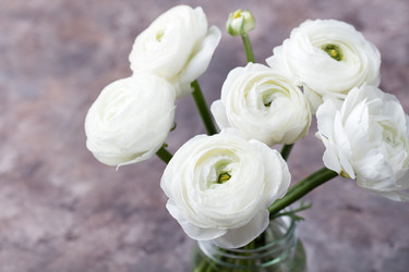 Similar image 11921754