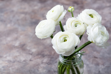 Similar image 11921755