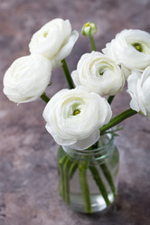 Similar image 11921757