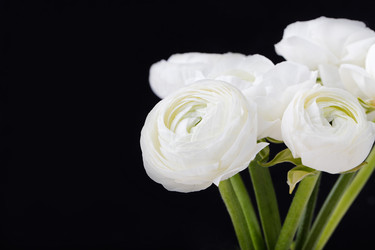 Similar image 11921774