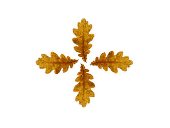 Similar image 11916754