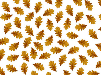 Similar image 11916755