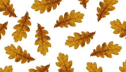 Similar image 11916756