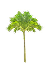 Similar image 11917464