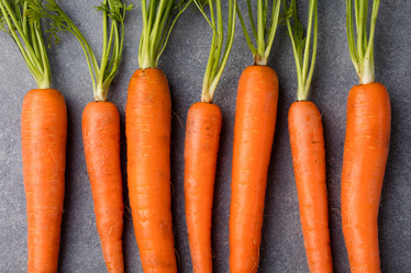 Similar image 11921762