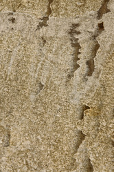 Similar image 11917467