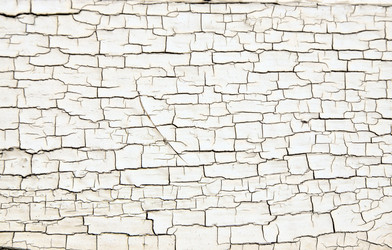 Similar image 11917470