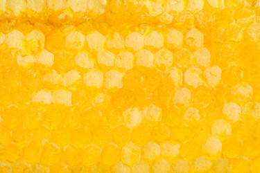 Similar image 11916826