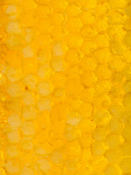 Similar image 11916834