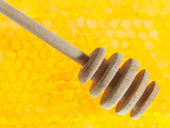 Similar image 11916836