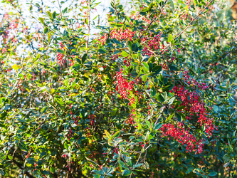 Similar image 11916839