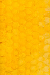 Similar image 11916850