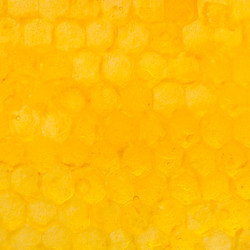 Similar image 11916851