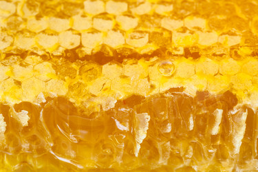 Similar image 11916854