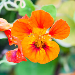 Similar image 11916856