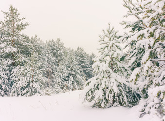 Similar image 11916997