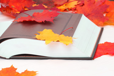 Similar image 11917249