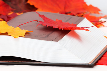 Similar image 11917250