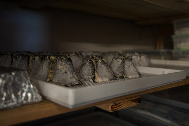 Similar image 11891181