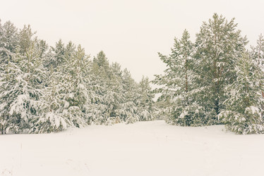 Similar image 11916898