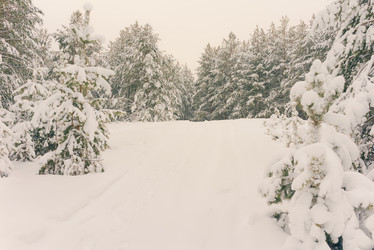 Similar image 11916901