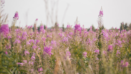 Similar image 11919458