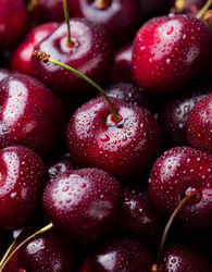 Similar image 11921739