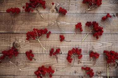 Similar image 11917286