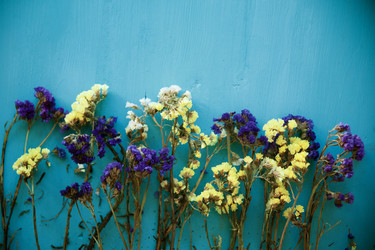 Similar image 11917288