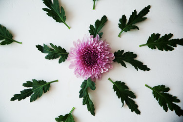 Similar image 11917304