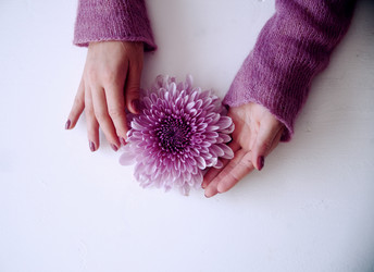 Similar image 11917305